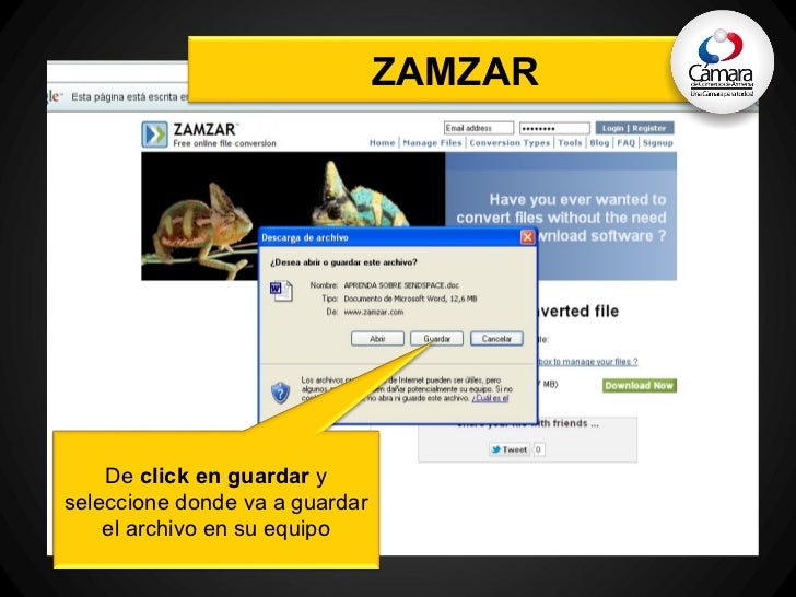convert pdf to word document zamzar