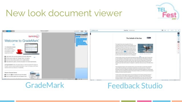 turnitin document viewer feedback studio