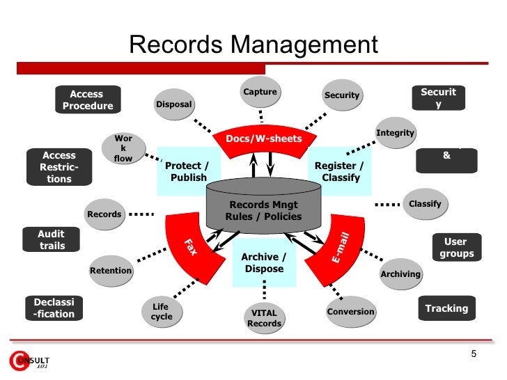 content management system vs document management system