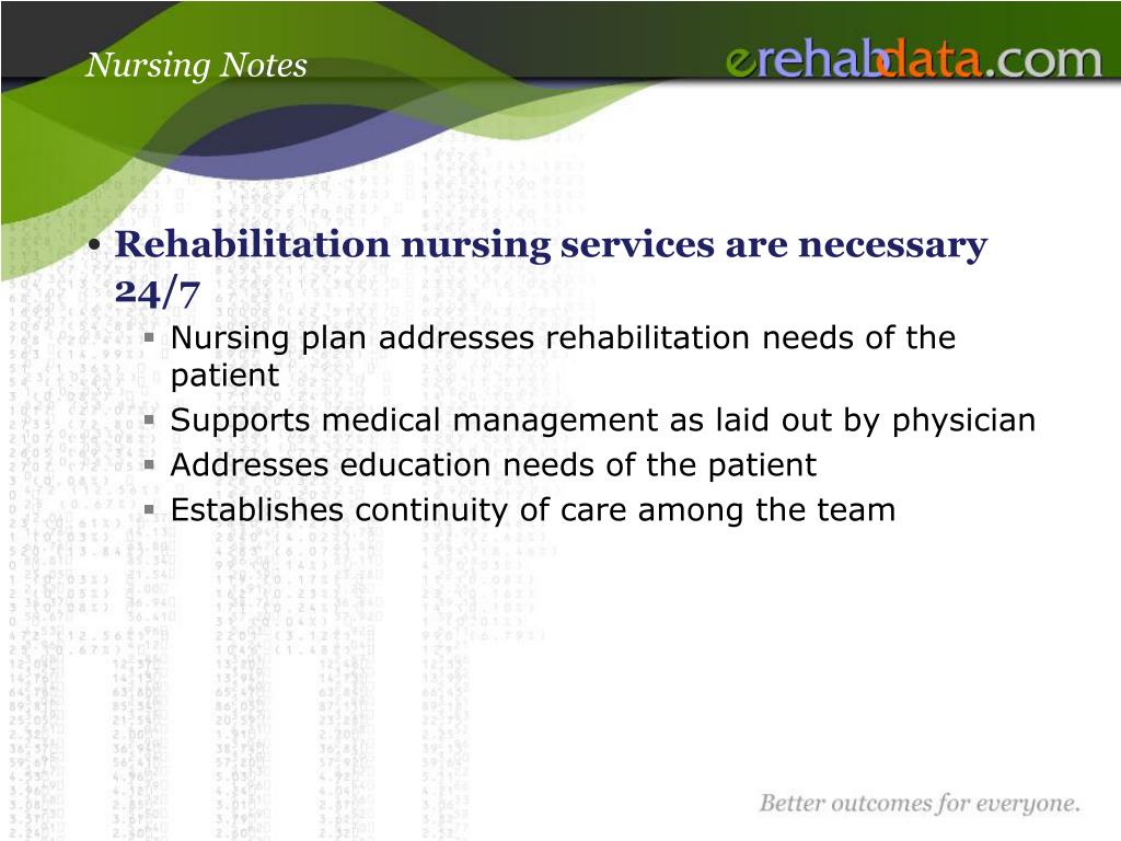 documentation of nursing care ppt