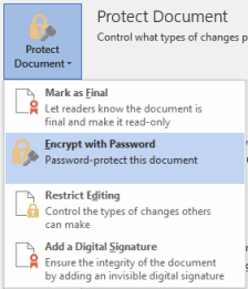 how to edit a protected word document without password